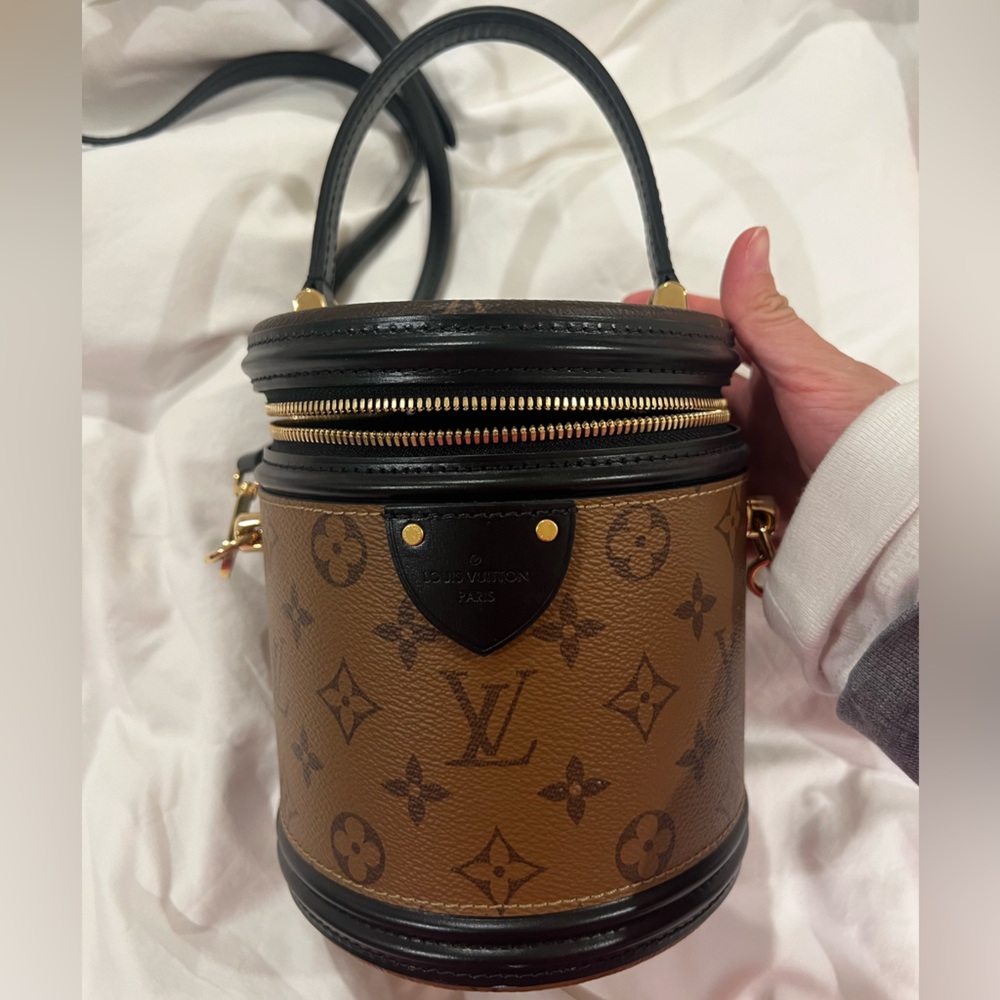 Louis Vuitton Monogram Cannes Bag